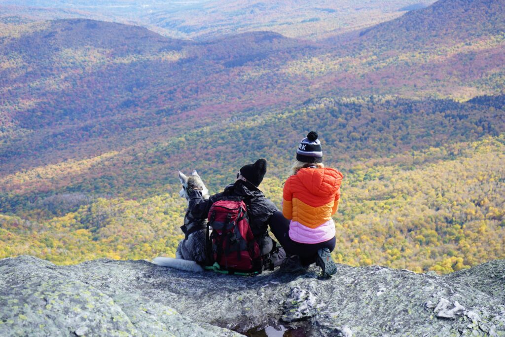 A serene forest trail in Vermont with autumn foliage, ideal for value wellness travel 2025 relaxation.