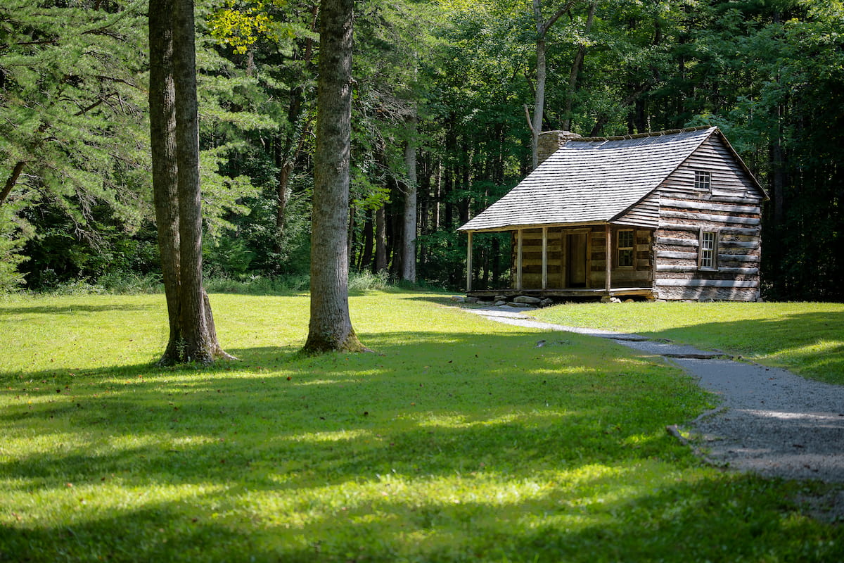 Great Smoky Mountains Cades Cove wildlife deer