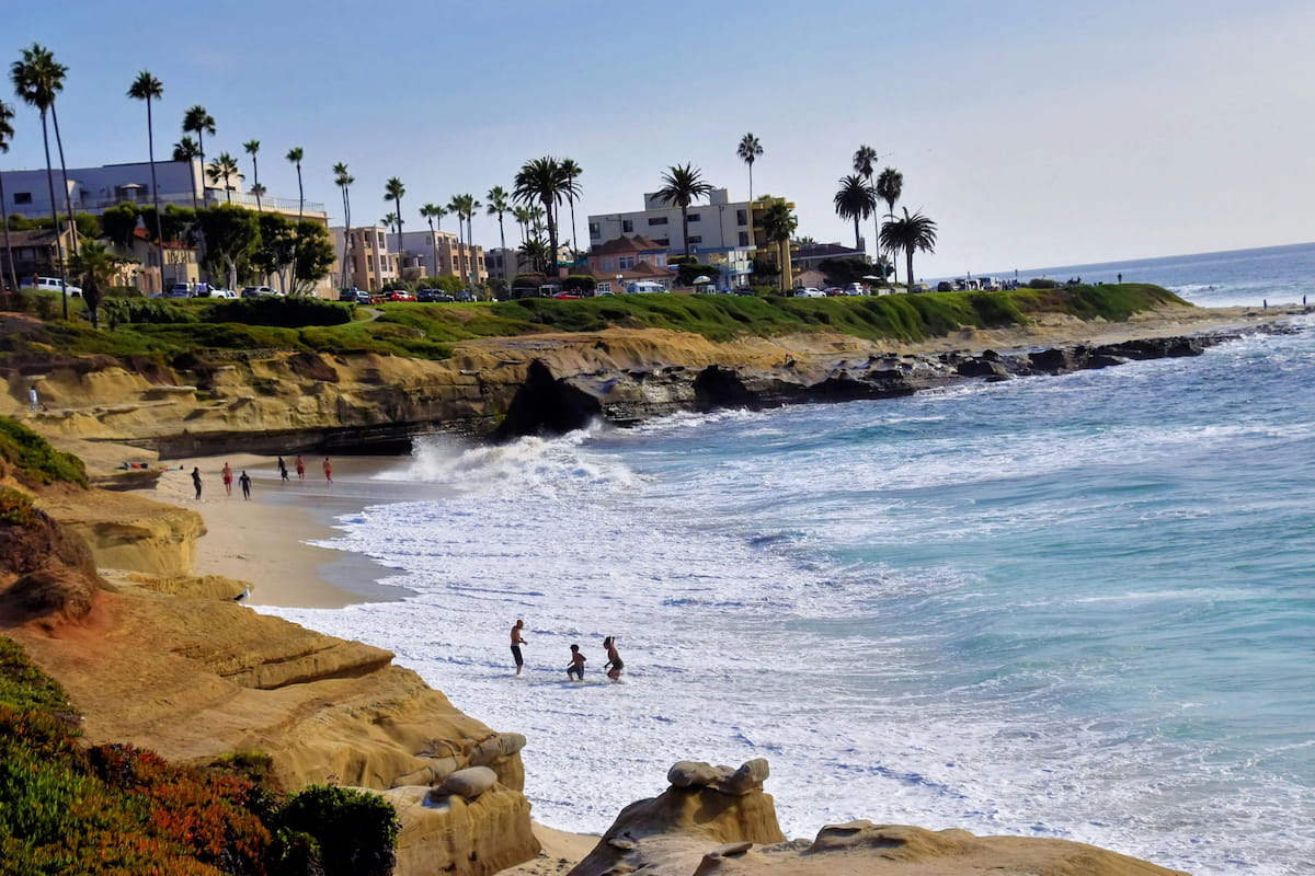 San Diego coastal scenery with palm trees and ocean views