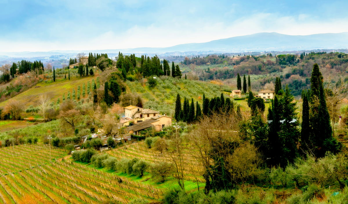Rolling Tuscan hills with vineyards and cypress trees in the Chianti Classico wine region near Florence