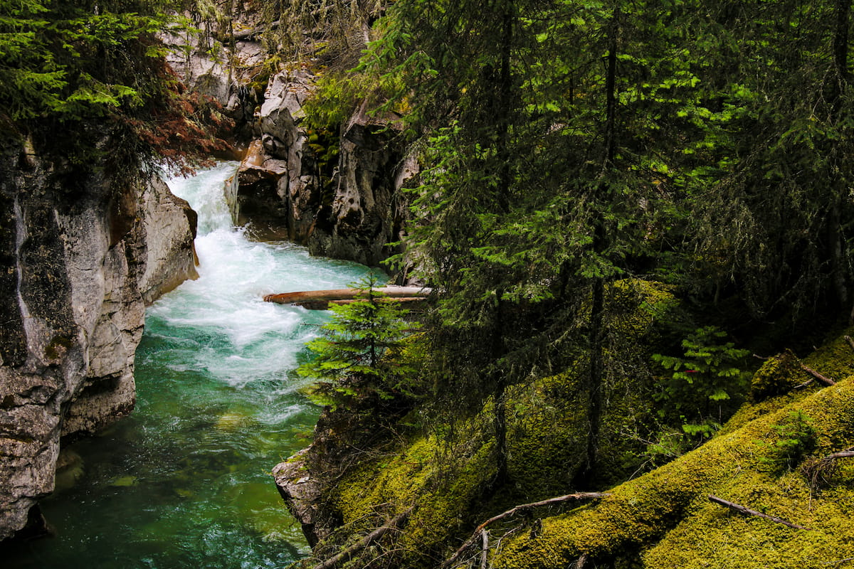 Banff hiking trail mountain scenery