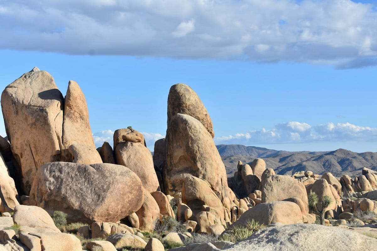 Boulder formations in Joshua Tree National Park